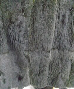 SCRAP ITEM: GREEN OPPOSUM OPOSSUM FUR VEST WOMEN WOMAN SZ N/A