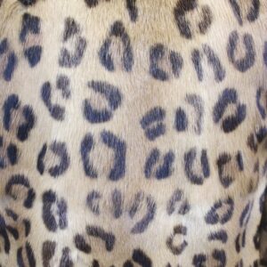 EXCELLENT MINK FUR JACKET COAT W/ LEOPARD PRINT WOMEN WOMAN SIZE 2-4 PETITE