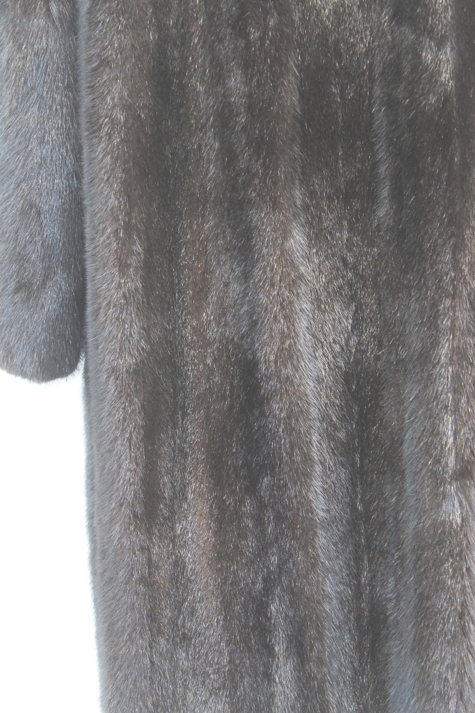 IMG_8517A681157136M2713046