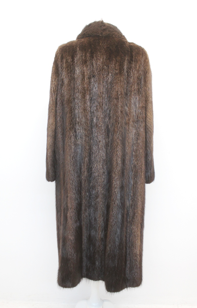 IMG_8604guind96mu687548