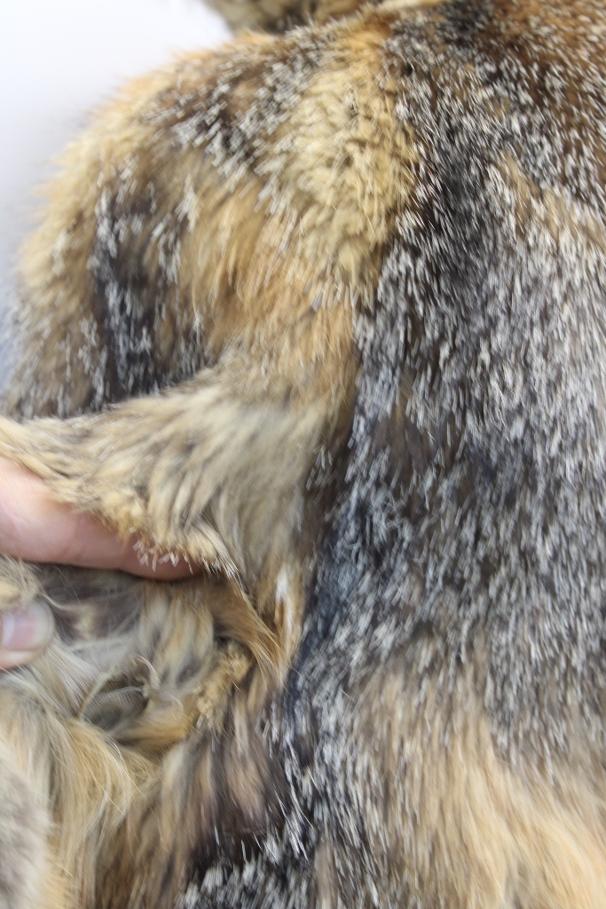 IMG_8926A771161828F282099