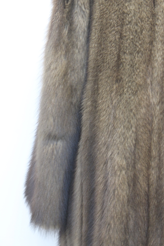 IMG_9055guind101fsh0650044