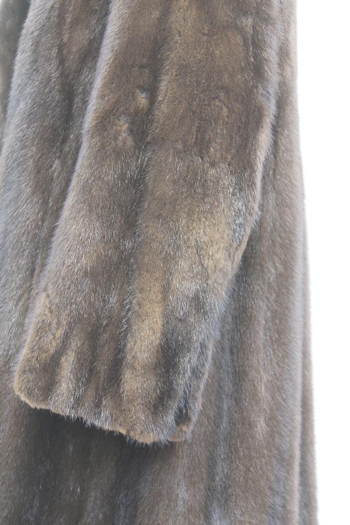 IMG_9074guind104m0610045