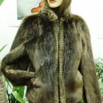 BRAND NEW BROWN LONG HAIRED BEAVER FUR JACKET COAT WOMEN WOMAN 4 PETITE $600 OFF