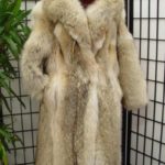 ~BRAND NEW COYOTE FUR COAT WOMEN