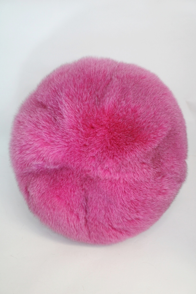 IMG_8256CRE2035F_L2415