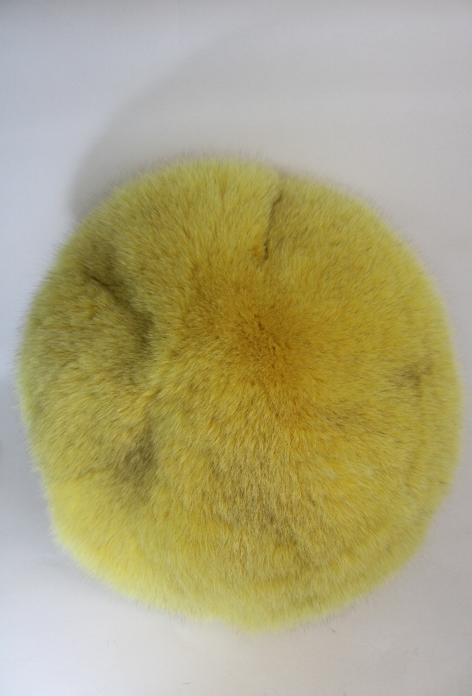 IMG_8478CRE2038F_L2415