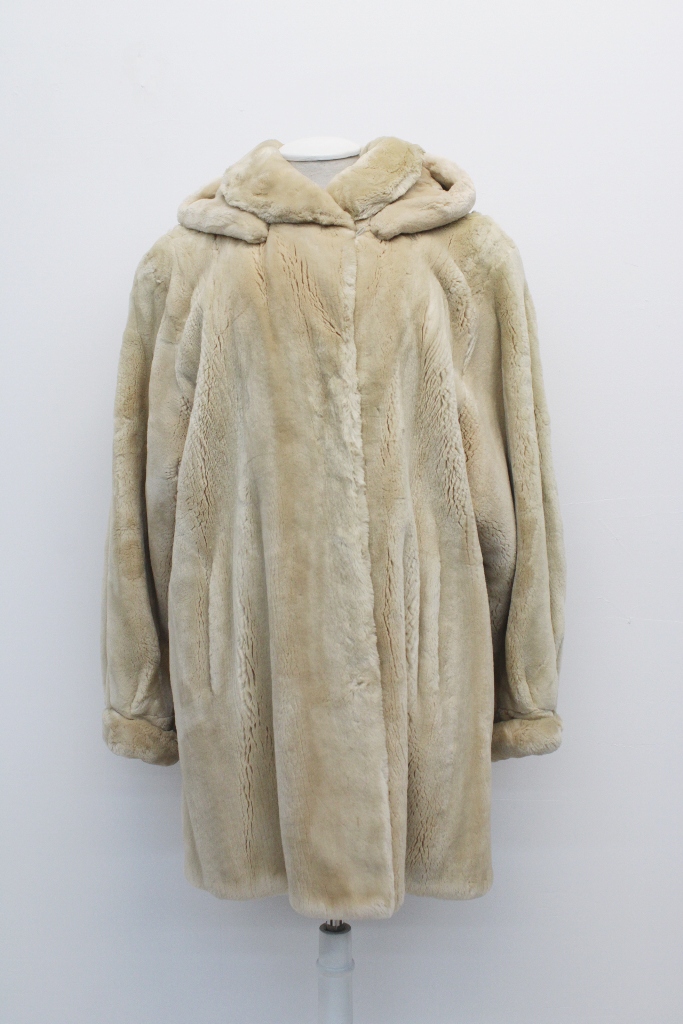 IMG_8545A141157732BV328052