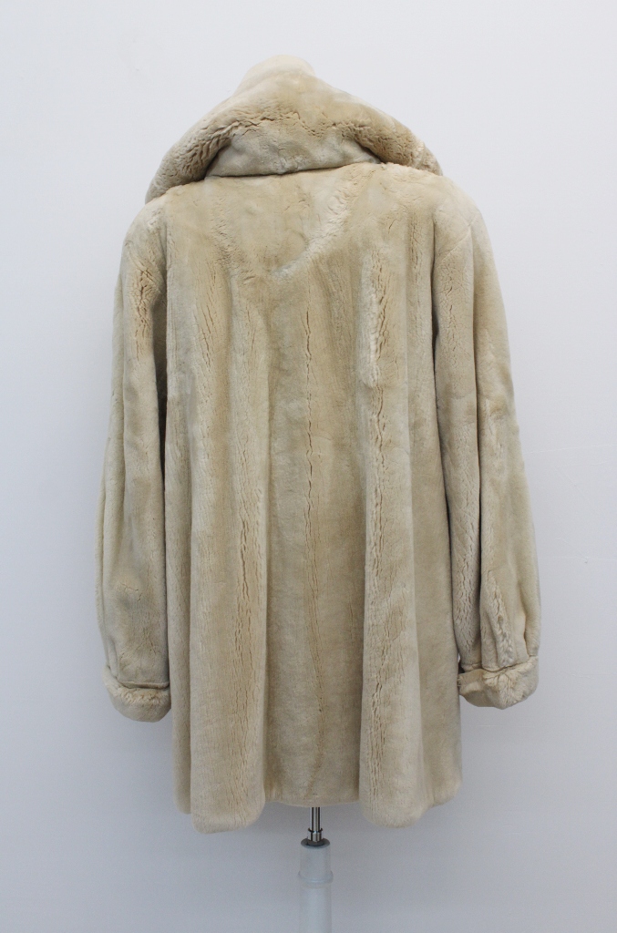 IMG_8550A141157732BV328052