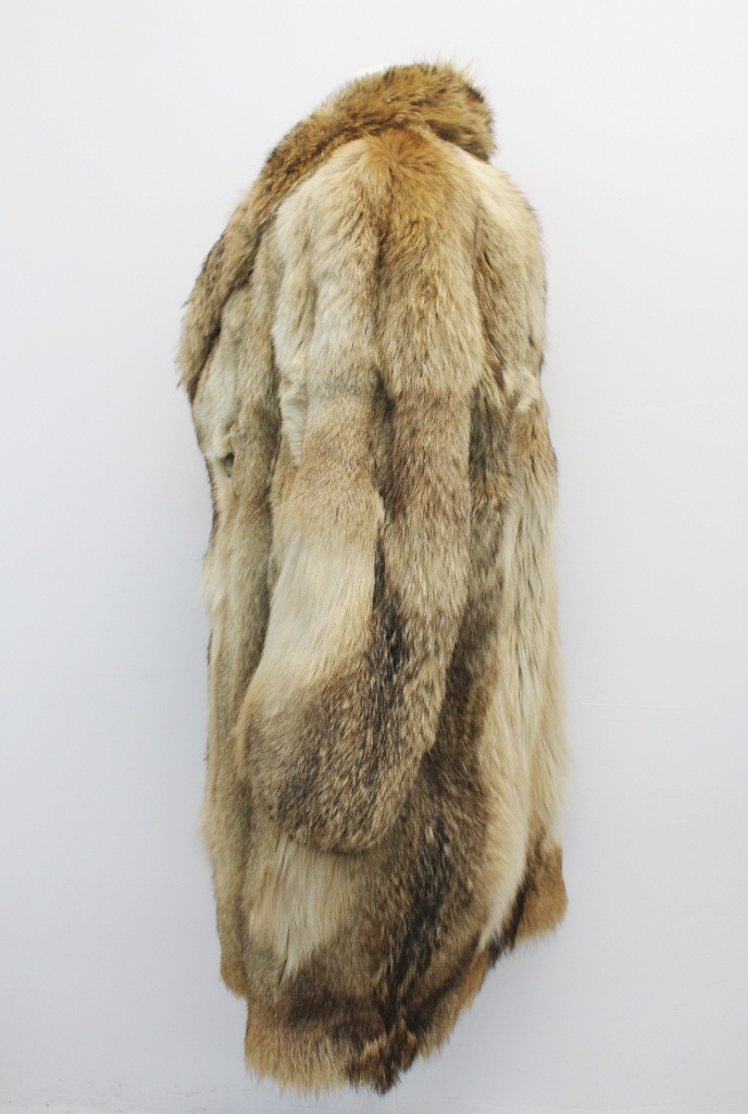 IMG_8559A441157942CY3115556