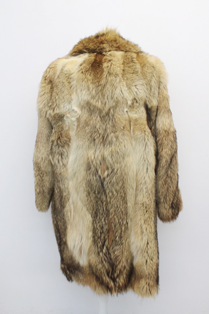 IMG_8560A441157942CY3115556