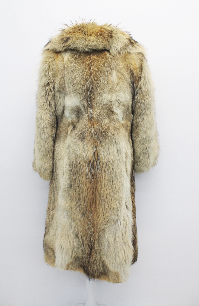 IMG_8571A241158141CY2512039