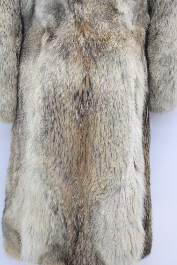 IMG_8572A241158141CY2512039