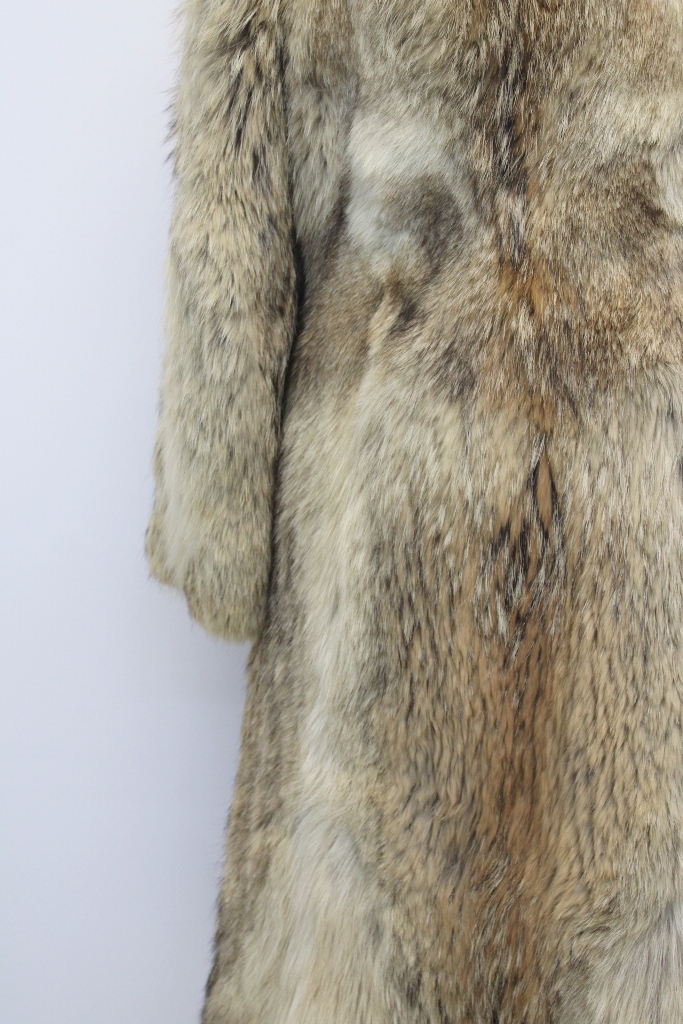 IMG_8573A241158141CY2512039