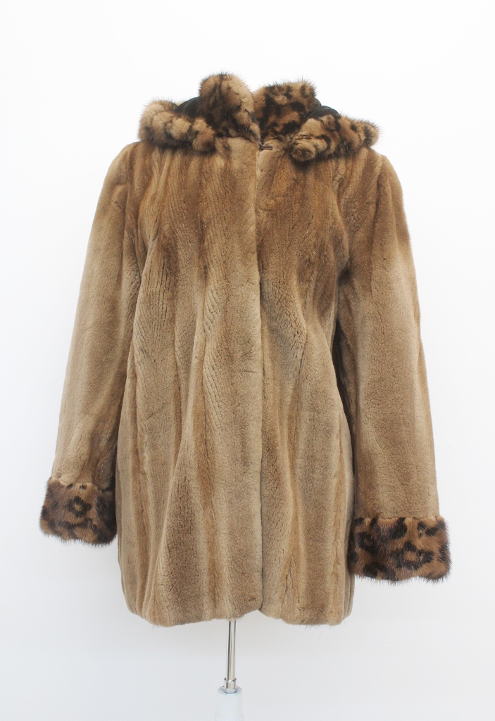 IMG_8723A681159631M3115047