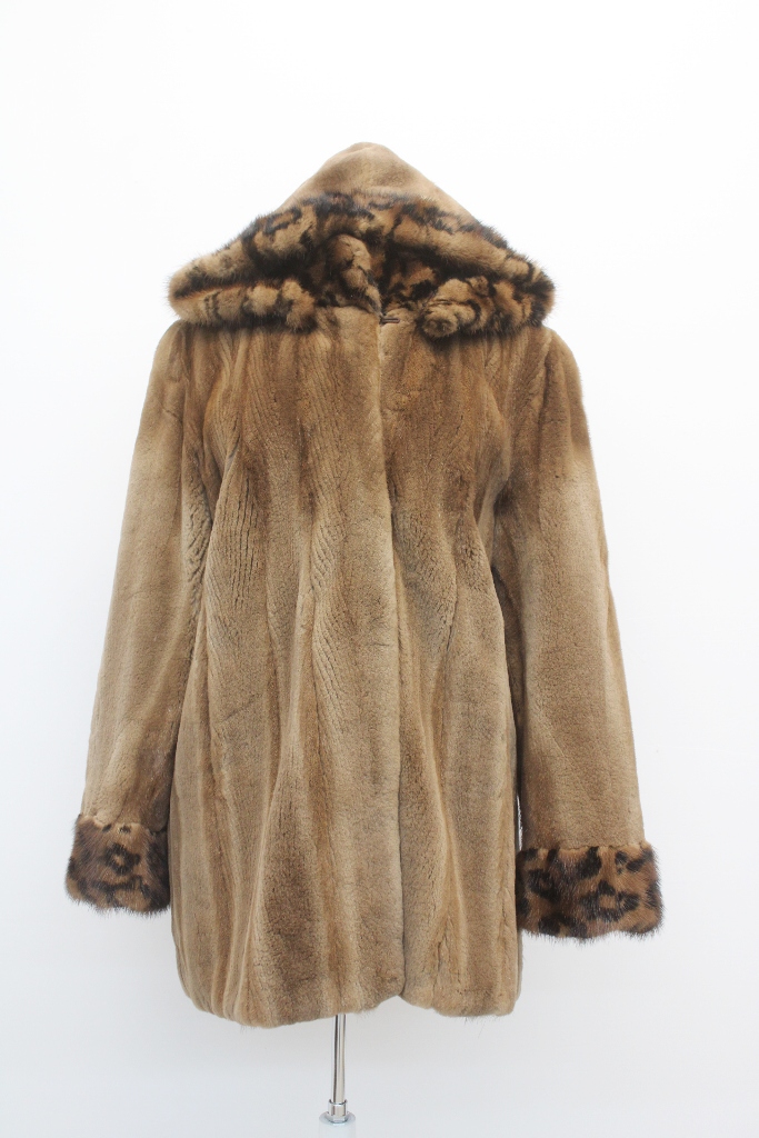 IMG_8724A681159631M3115047