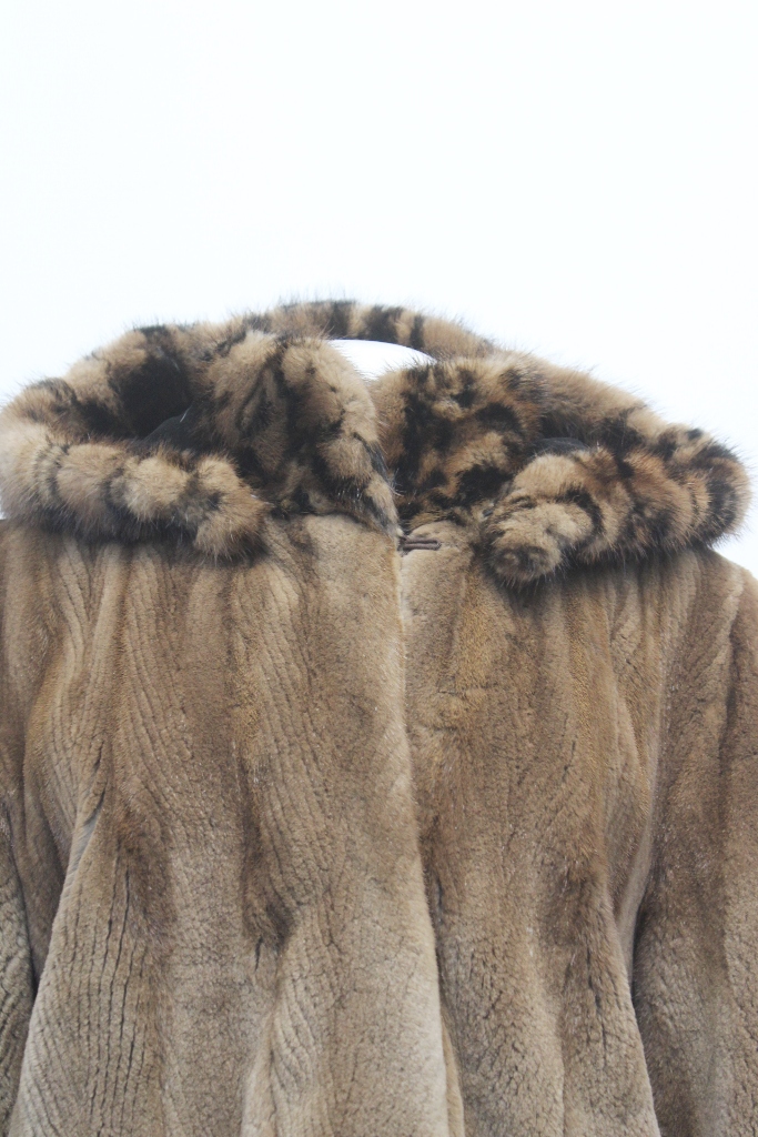 IMG_8725A681159631M3115047