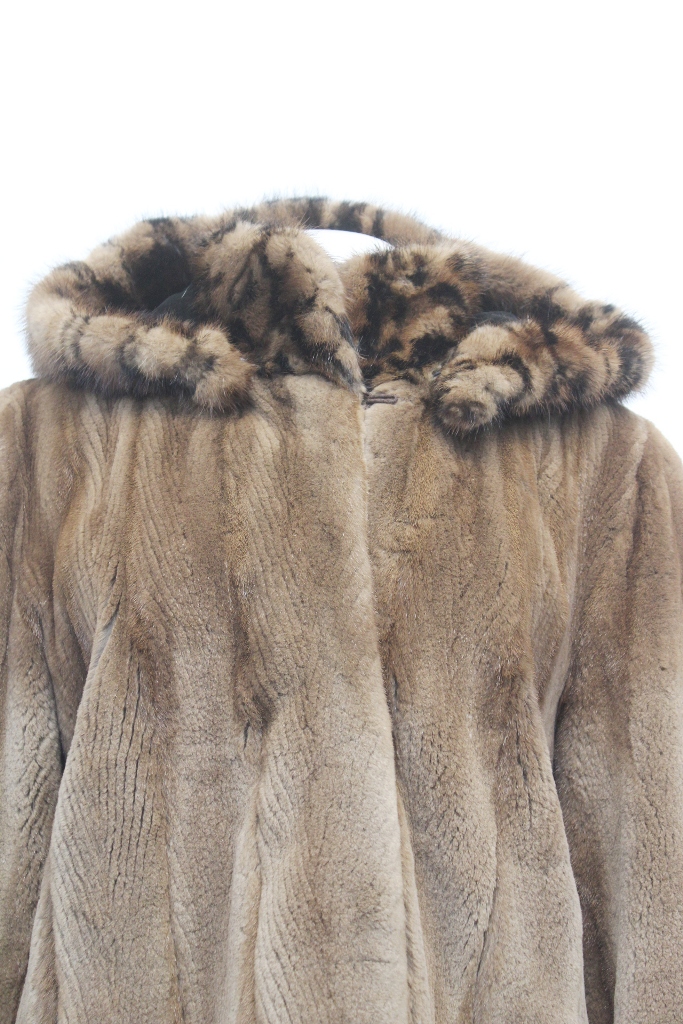 IMG_8726A681159631M3115047