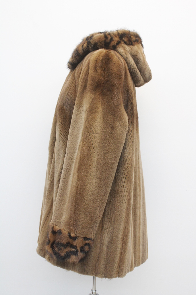 IMG_8728A681159631M3115047