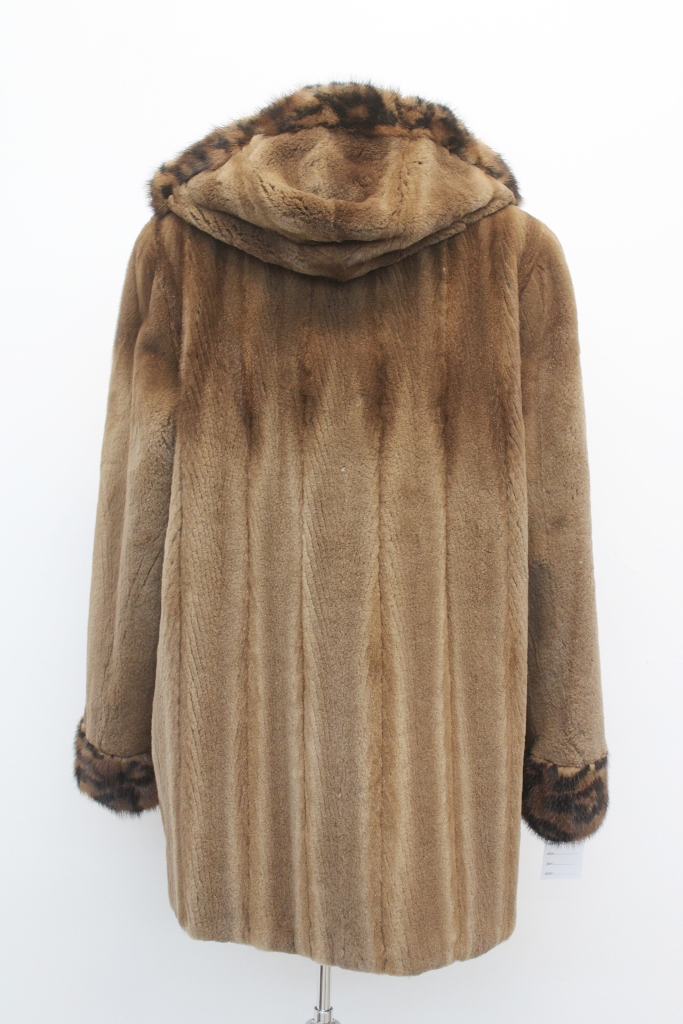 IMG_8729A681159631M3115047