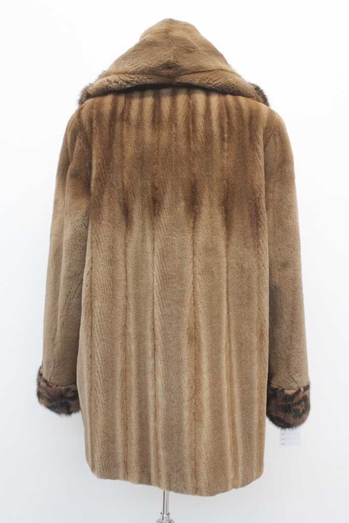 IMG_8730A681159631M3115047