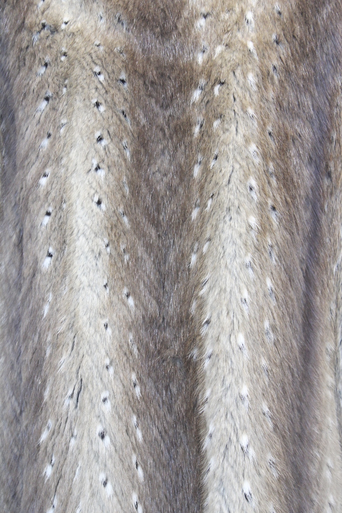 IMG_9838andre29204mu0630045